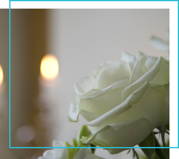 laot rose blanche et bougie